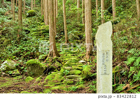 三木峠道 【三重県尾鷲市】 三木峠道 【三重県尾鷲市】 83422812