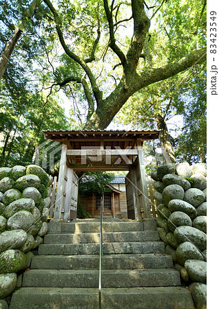 飛鳥神社　【三重県尾鷲市曽根町】 83423549