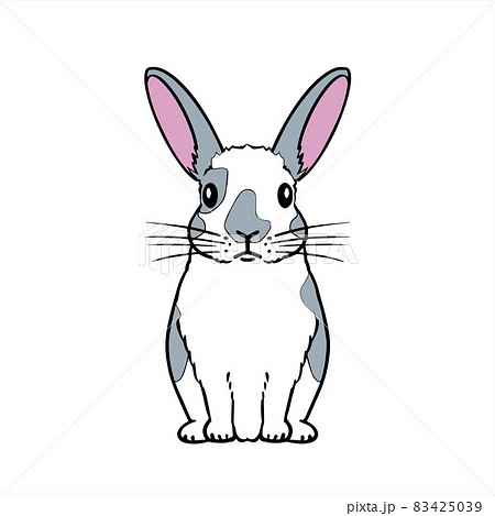 ミニウサギ 正面 Mini Rabbitのイラスト素材