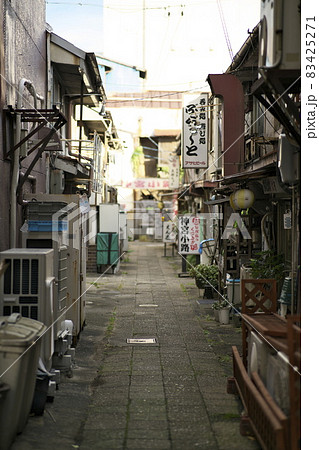 早朝の神宮小路 83425271