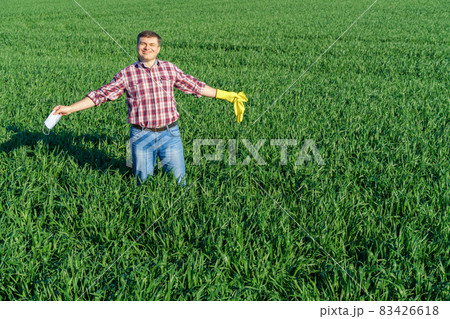 a man as a farmer poses in a field, dressed in a plaid shirt and jeans, protective face mask and rubber gloves, checks and inspects young sprouts crops of wheat, barley or rye, or other cereals a man as a farmer poses in a field, dressed in a plaid shirt and jeans, protective face mask and rubber gloves, checks and inspects young sprouts crops of wheat, barley or rye, or other cereals 83426618