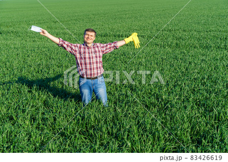 a man as a farmer poses in a field, dressed in a plaid shirt and jeans, protective face mask and rubber gloves, checks and inspects young sprouts crops of wheat, barley or rye, or other cereals 83426619