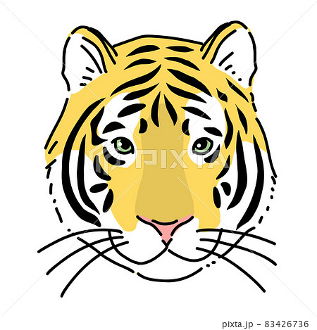 虎の顔 リアルイラスト 正面のイラスト素材