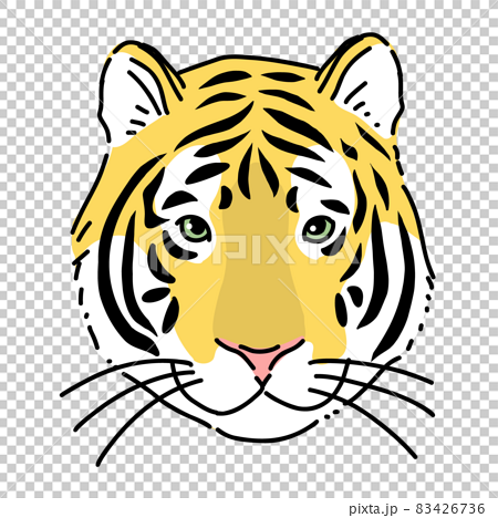 虎の顔 リアルイラスト 正面のイラスト素材