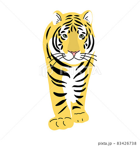 虎の全身イラスト 正面 歩くのイラスト素材 [83426738] - PIXTA