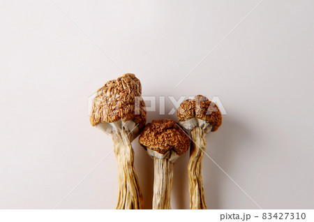 Micro-dosing concept. Dry psilocybin mushrooms on white background. Micro-dosing concept. Dry psilocybin mushrooms on white background. 83427310