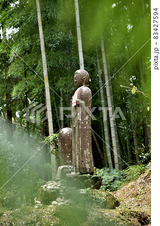 松本峠に立つお地蔵様(伊勢道) 【三重県熊野市】 松本峠に立つお地蔵様(伊勢道) 【三重県熊野市】 83427594