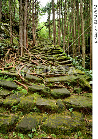 松本峠道の石畳(伊勢路)　【三重県熊野市】 83427642