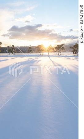 新雪の公園に朝日が差し込む風景(東郷池周辺) 新雪の公園に朝日が差し込む風景(東郷池周辺) 83427860