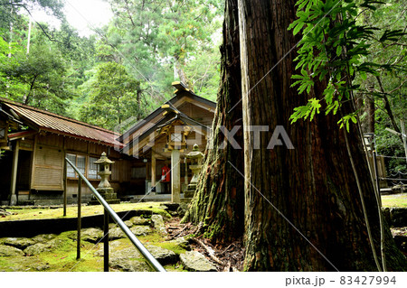 熊野国総鎮守　大馬神社(本殿)　【三重県熊野市井戸町】 83427994