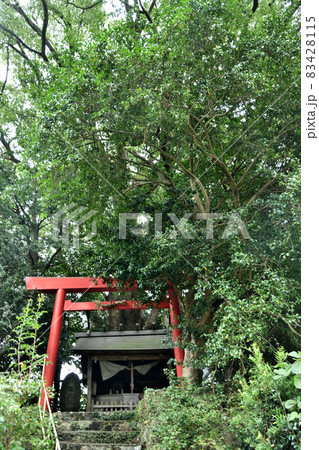 徐福の宮 【三重県熊野市波田須】 徐福の宮 【三重県熊野市波田須】 83428115