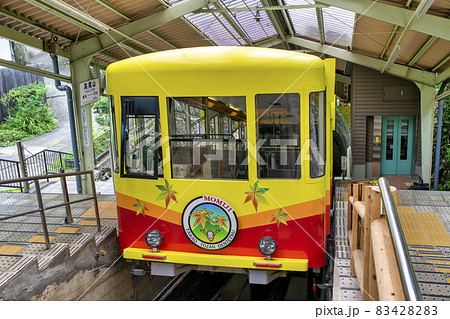 高尾山　高尾山駅　ケーブルカー　もみじ号 83428283