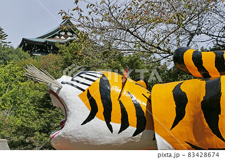 大寅　信貴山　奈良県 83428674