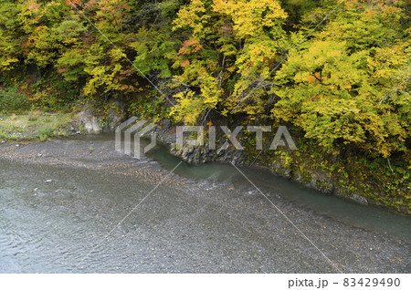 見頃を迎えた沙流川渓谷の紅葉(北海道 日高) 見頃を迎えた沙流川渓谷の紅葉(北海道 日高) 83429490