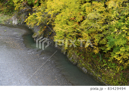 見頃を迎えた沙流川渓谷の紅葉(北海道 日高) 見頃を迎えた沙流川渓谷の紅葉(北海道 日高) 83429494