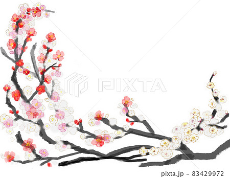 年賀状に!お正月にめでたい紅白梅 年賀状に!お正月にめでたい紅白梅 83429972