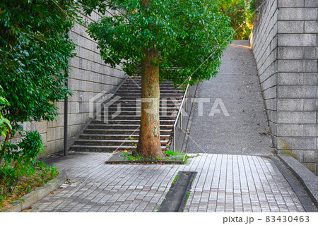 坂道と階段のある風景 83430463