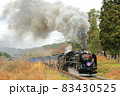 釜石線：岩手の遠野路を走るSL銀河 83430525