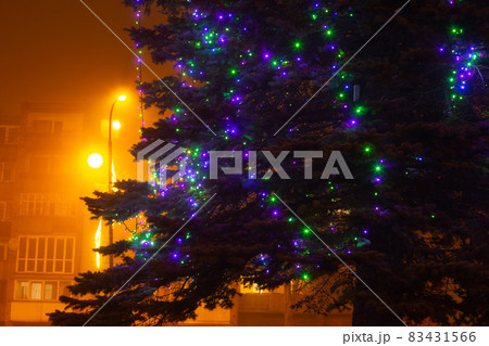 Fir branch and Christmas garland decoration lights in front of the building outdoors in the foggy new year night Fir branch and Christmas garland decoration lights in front of the building outdoors in the foggy new year night 83431566