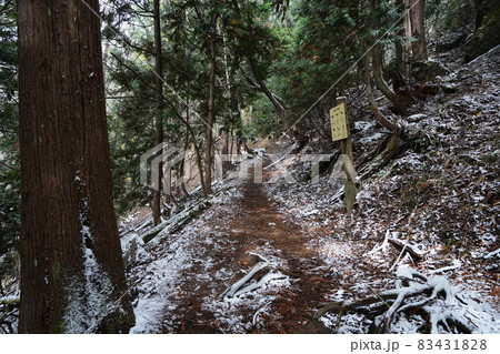 栃木県　湯ノ湖から刈込湖へ行く登山道　小雪模様の日 83431828