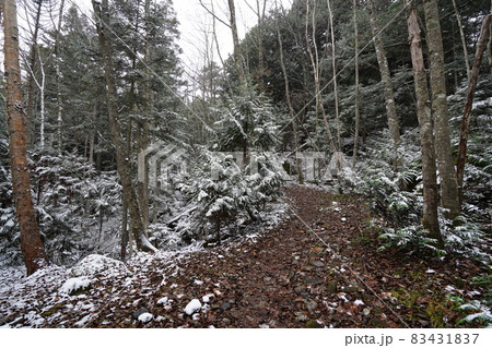 栃木県 湯ノ湖から刈込湖へ行く登山道 小雪模様の日 刈込湖に近い場所 栃木県 湯ノ湖から刈込湖へ行く登山道 小雪模様の日 刈込湖に近い場所 83431837