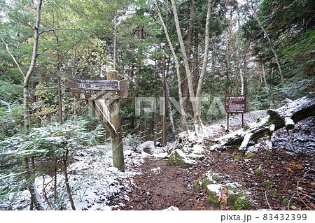 栃木県 刈込湖から湯ノ湖へ行く登山道 刈込湖付近 栃木県 刈込湖から湯ノ湖へ行く登山道 刈込湖付近 83432399
