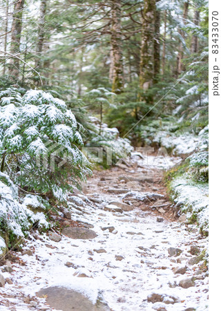 晩秋の登山道 少量の積雪 晩秋の登山道 少量の積雪 83433070