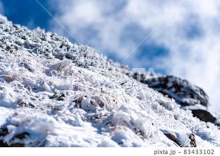 晩秋の登山 晩秋の登山 83433102