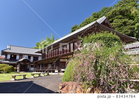 真っ青な秋空の下、江戸天保年間から続く日母屋と客殿を撮る。母屋と客殿を撮る。 83434764