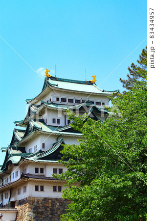 名古屋市、新緑の名古屋城の風景 名古屋市、新緑の名古屋城の風景 83434957