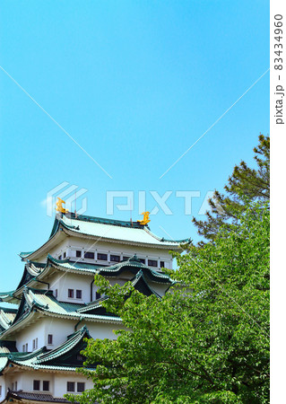名古屋市、新緑の名古屋城の風景 83434960