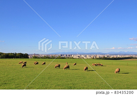 さっぽろ羊ヶ丘展望台(北海道札幌市) さっぽろ羊ヶ丘展望台(北海道札幌市) 83435200