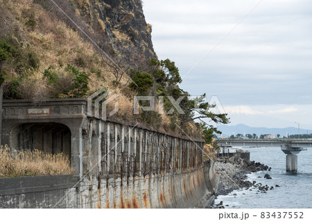 【大崩海岸】海上道路と旧石部洞門 【大崩海岸】海上道路と旧石部洞門 83437552