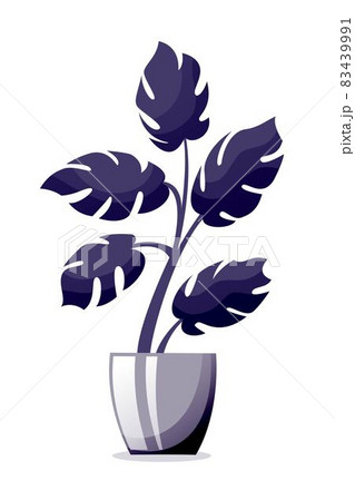Plant at home. Interior design houseplant vector illustration. Cartoon house or office plant standing in vase indoor. Decorative plant in pot isolated on white background 83439991