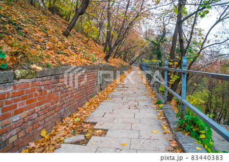 Park walkway at Buda Hill Castle, Budapest, Hungary. Autumn. 83440383