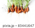 carrots with soil and green leaves on white 83441647