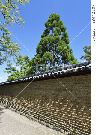 東大寺　勧学院の土塀　奈良市 83442507