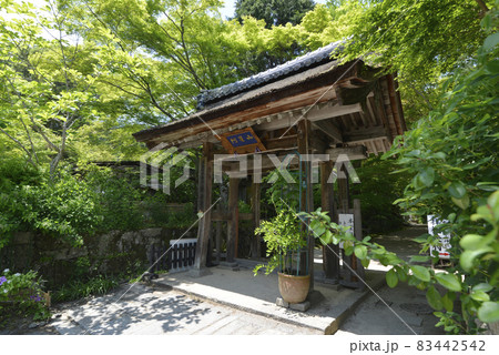 長寿寺 山門 滋賀県湖南市 長寿寺 山門 滋賀県湖南市 83442542