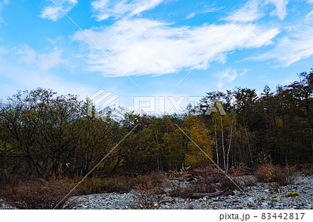 中部山岳国立公園長野県松本市の名勝の上高地(秋) 中部山岳国立公園長野県松本市の名勝の上高地(秋) 83442817
