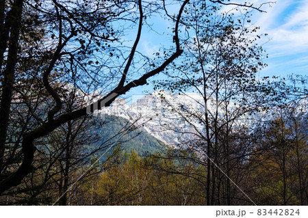 中部山岳国立公園長野県松本市の名勝の上高地(秋) 中部山岳国立公園長野県松本市の名勝の上高地(秋) 83442824