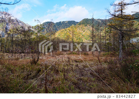 中部山岳国立公園長野県松本市の名勝の上高地(秋) 中部山岳国立公園長野県松本市の名勝の上高地(秋) 83442827