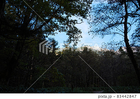 中部山岳国立公園長野県松本市の名勝の上高地（秋） 83442847