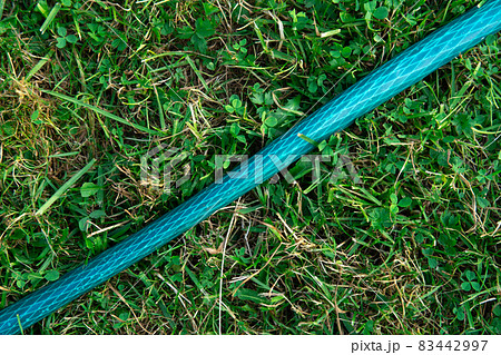 Garden hose lying on the green grass close up Garden hose lying on the green grass close up 83442997