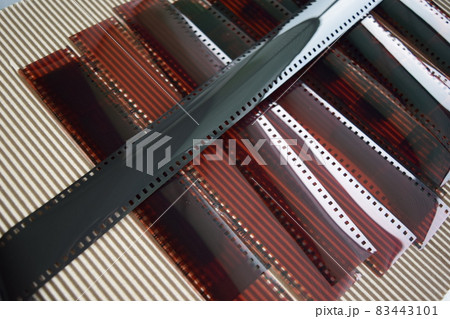 写真 ネガフィルム 83443101