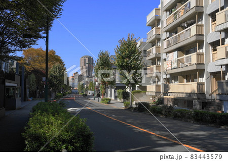 10月　港区1337日向坂と元麻布ヒルズフォレストタワー･三田一丁目 83443579
