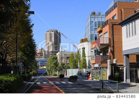 10月　港区1336日向坂と元麻布ヒルズフォレストタワー･三田一丁目 83443580