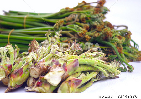 山菜 83443886