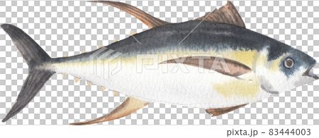 Premium Photo  Realistic fish isolated on white background Ocean