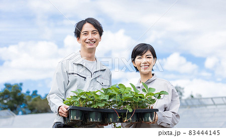 苺の苗を持つ若い男女 83444145