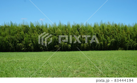 一番星ヴィレッジ キャンプ場 一番星ヴィレッジ キャンプ場 83444194